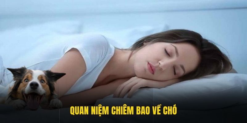 Quan niệm chiêm bao về chó