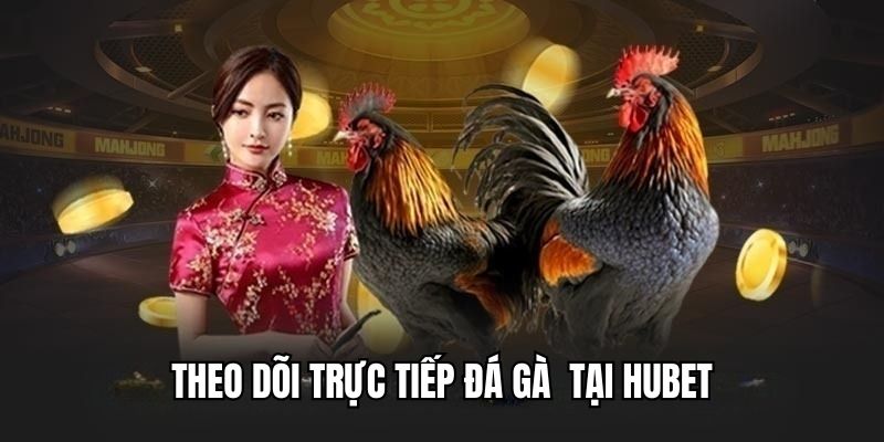 Xem trực tiếp đá gà tại HUBET thú vị