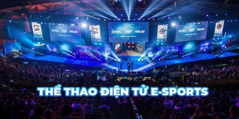 ảnh đại diện cá cược esport