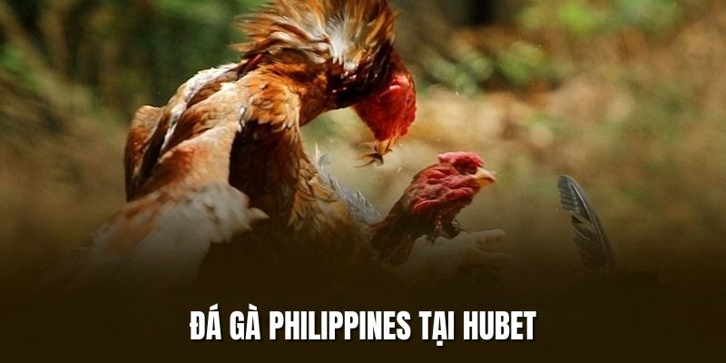 ảnh đại diện đá gà philippines